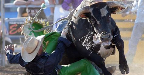 rodeo rider left with shocking facial injuries after being struck by bull s horn goulburn post