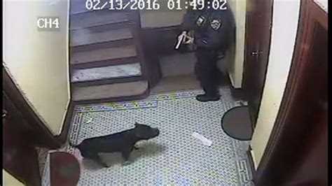 Graphic Video Shows Nypd Cop Shooting Dog At Point Blank Range Abc News