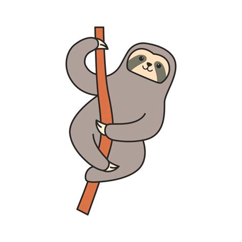 Premium Vector Cute Cartoon Sloth Hanging On A Branch Vector Illustration