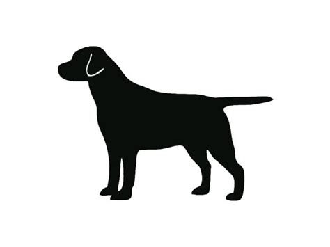 The Best Free Labrador Silhouette Images Download From 501 Free
