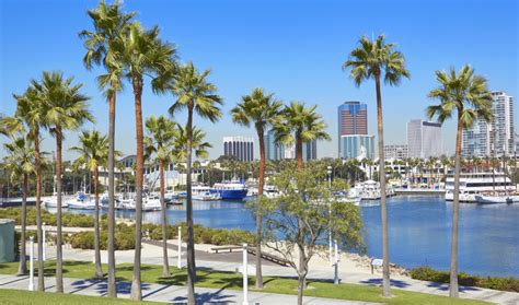 The Best Time To Visit Long Beach When To Go By A Local Travel Lemming