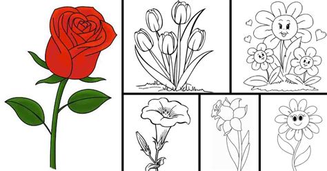 20 Sketsa Gambar Mewarnai Bunga Untuk Anak Anak