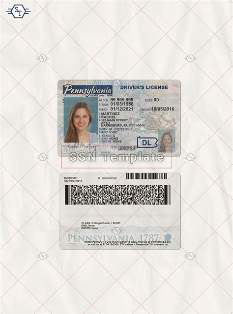 Pennsylvania Driver License Psd Template Ssn Template