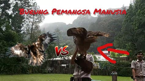 Harga tiket taman burung kuala lumpur. Taman Safari Indonesia liburan keluarga hemat biaya ...