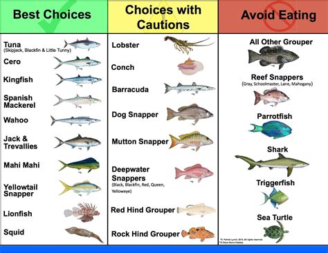 The Bay Islands Responsible Seafood Guide Roatan Divers