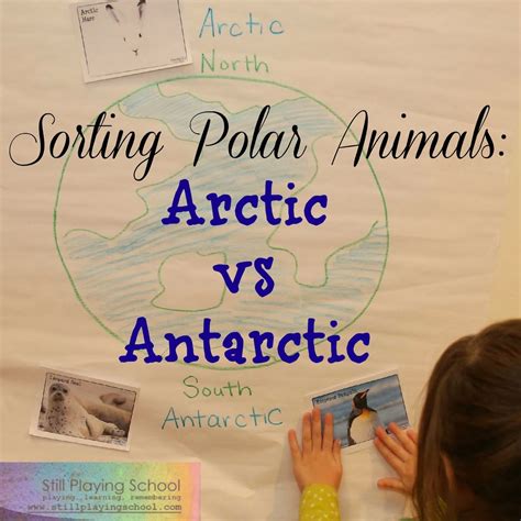 Polar Animal Sort Arctic Vs Antarctic Polar Animals Polar Animals