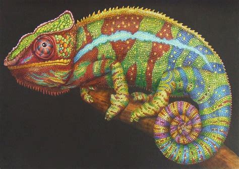 Chameleon Page 8 Intricate Ink Animals In Detail A