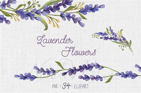 High Resolution Watercolor Set With Lavender Flowers Includes 34