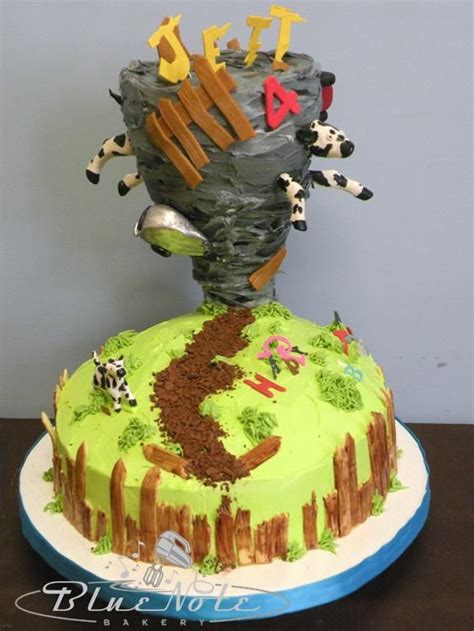 tornado cake  birthday tornado twister farm cake