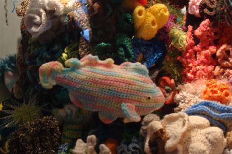 Hawaii Hyperbolic Crochet Coral Reef Yarn Over Pull Through