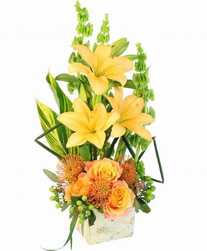 Tropical Honey Floral Flower Designs Florist Modern