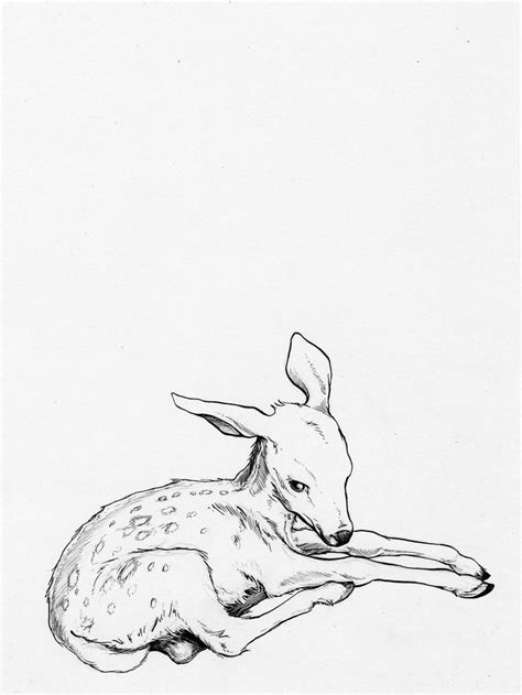 Line Style Deer Drawing Baby Deer Tattoo Art