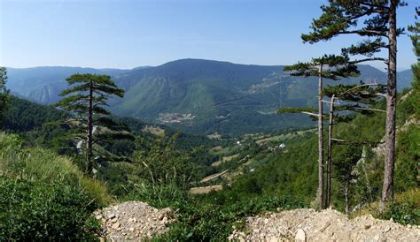Amaro montenegro è così complesso dal punto di vista sensoriale che si presta a diverse modalità di consumo: Montenegro - Wikiwand