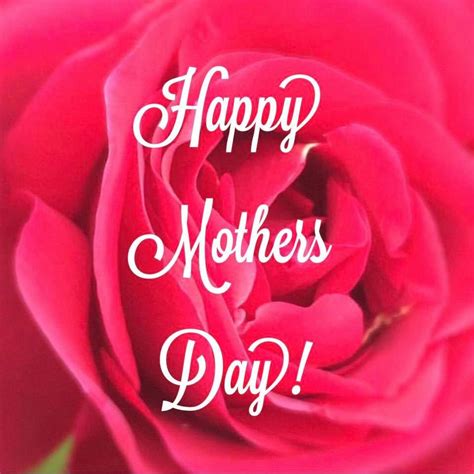 Happy Mothers Day Rose Image Quote Pictures Photos And Images For