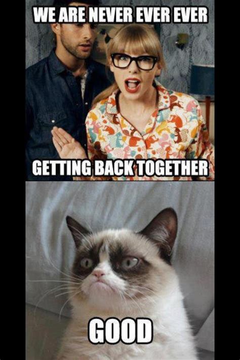 Internet Fads Whats The Deal Grumpy Cat Memes