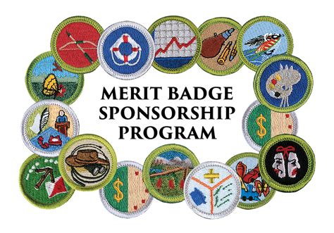 Merit Badge Website Title No Background Greater Tampa Bay Area