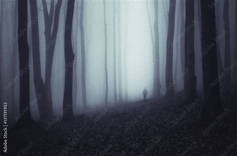Haunted Forest Background Scary Ghostly Figure In Fog In Dark Woods
