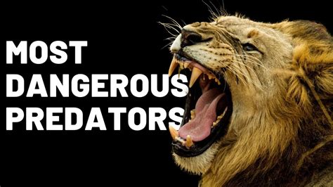 10 Most Dangerous Predators On Earth Youtube