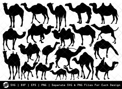 Camel Svg Animal Svg Silhouette Bundle Cut File So Fontsy