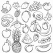 Fruit Sketch Drawing | Sketch Drawing Idea