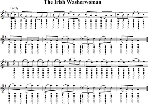 The Irish Washerwoman Tin Whistle Music