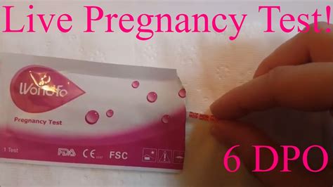 Ttc Baby 3 6 Dpo Symptoms And Live Pregnancy Test Youtube
