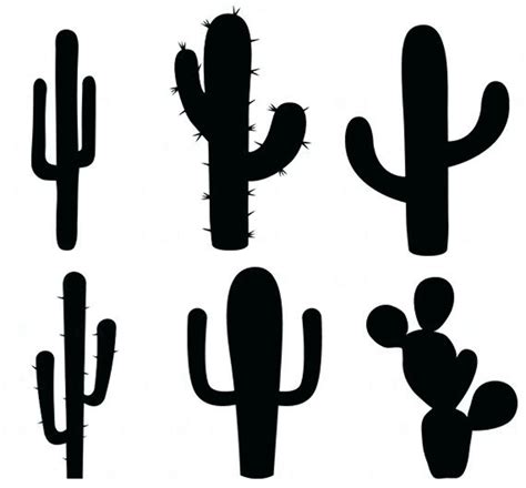Download High Quality Cactus Clipart Outline Transparent Png Images