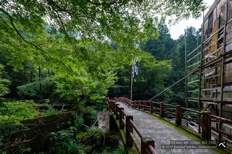 Shikoku Forest Benoa In Japan