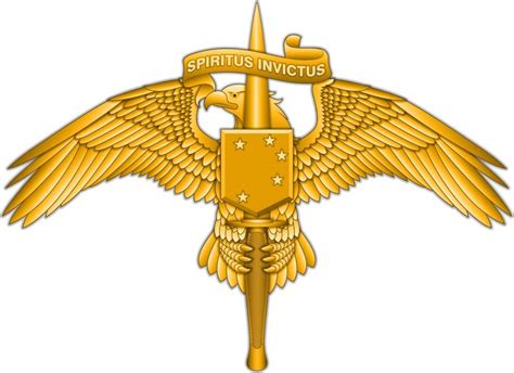 Marine Corps Announces New Marsoc Insignia Pin
