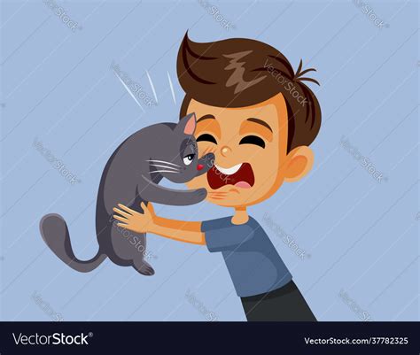 Cat Scratching Little Boy Cartoon Royalty Free Vector Image