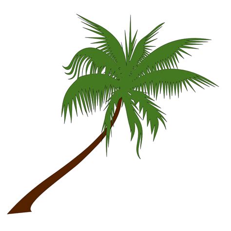 Printable Palm Leaf Clip Art Palm Leaves Set Png Clip Art Image Sexiz Pix