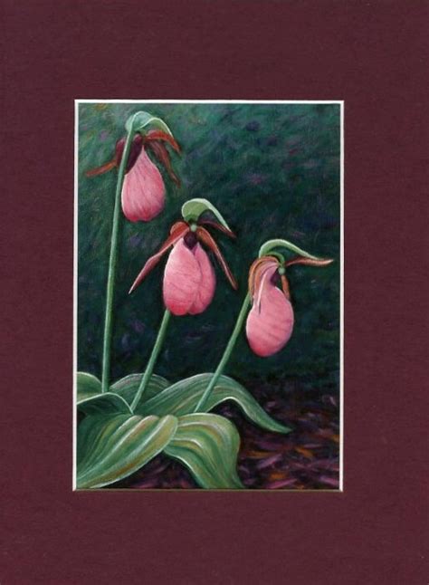 Pink Lady Slipper Print Based On An Original Acrylic With Mat Etsy