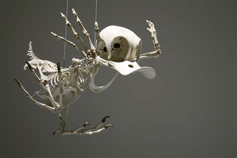 This Is What The Skeletons Of Famous Cartoon Characters Would Look Like