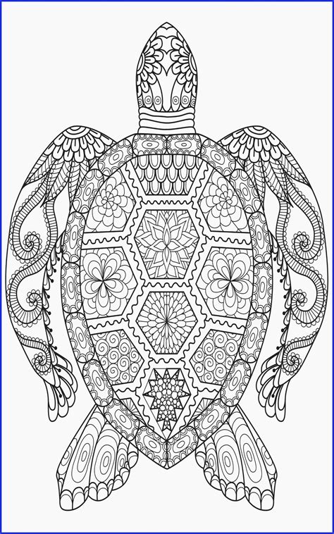 You can make it realistic or use the characters of the ninja turtle. Pin on Coloring Page For Adults