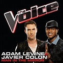 Man In The Mirror (The Voice America) (Single) - Adam Levine, Javier ...