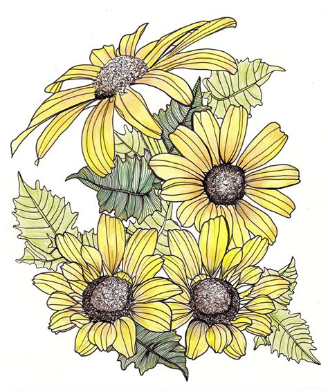 Line Drawing Flowers Yellow Daisies And Leaves Kids Watercolor