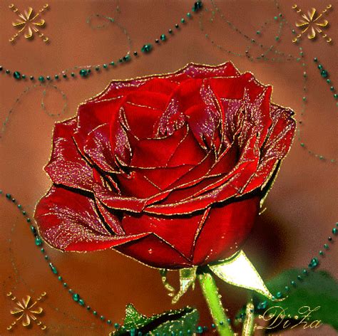 Red Rose Animated Pictures