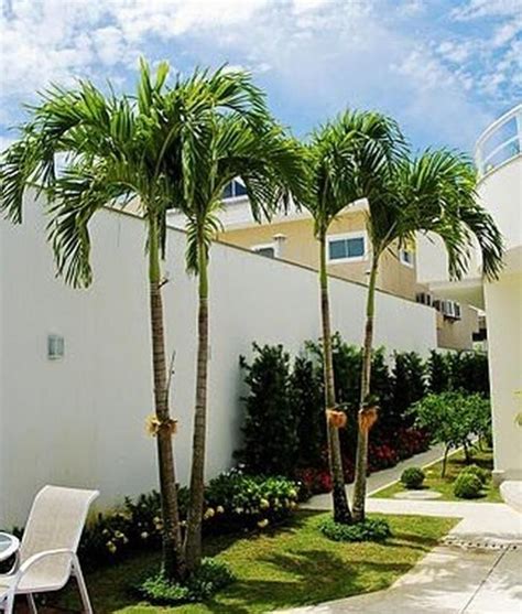 45 Awesome Florida Landscaping With Palm Trees Ideas Palm Trees
