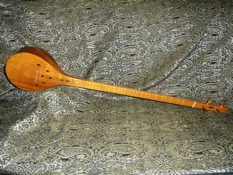 Persian musical instrument 'Tar' is UNESCO's representative list ...