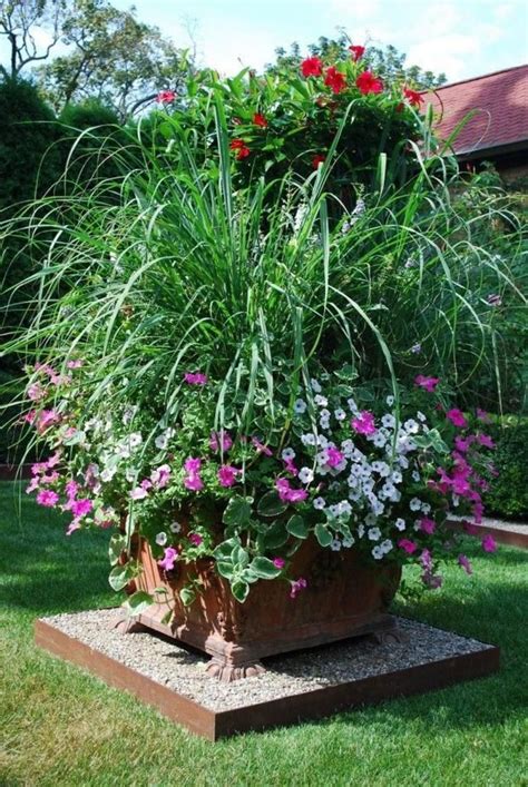 Best Summer Container Garden Decoration Ideas With Images Plants