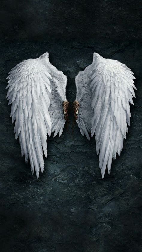 Templates For Covers In 2021 Angel Wings Angel Wings Angel Wings