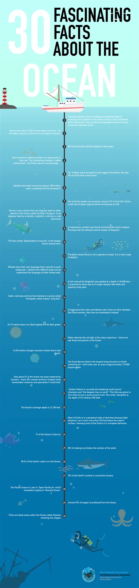30 Fascinating Facts About The Ocean Infographic Dive Master Insurance