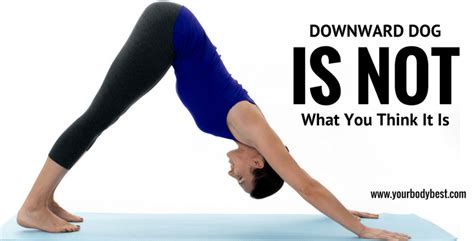 Downward Dog Is Not What You Think It Is Your Body Best