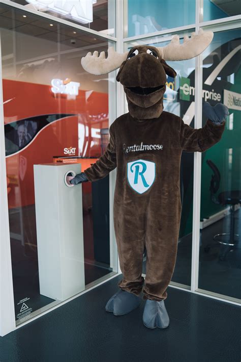 The Ultimate Car Rental Checklist For Your Next Rental - Rentalmoose