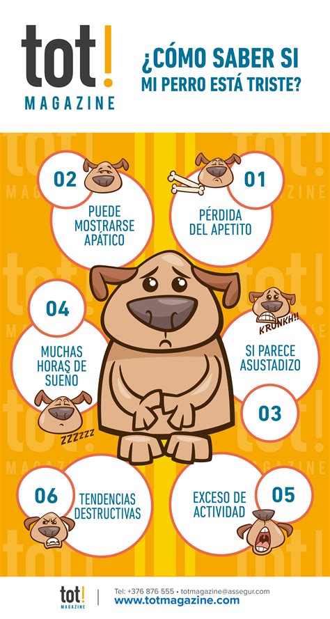 ¿cómo Saber Si Mi Perro Está Triste Infografia Totmagazine By