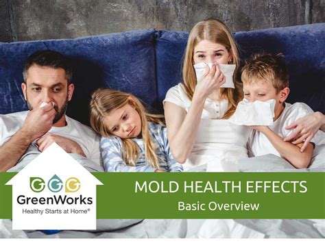 Basic Overview Of Effects Of Mold On Our Health Greenworks