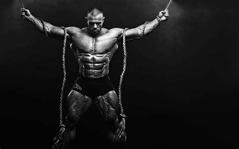 Aesthetic Bodybuilder HD Wallpapers Wallpaper Cave