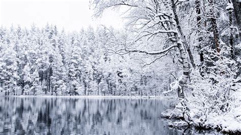 Download Wallpaper 1280x720 Lake Trees Snow Winter