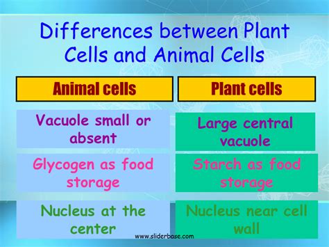 All living things are made up of units called cells. Plant Cell Organelles
