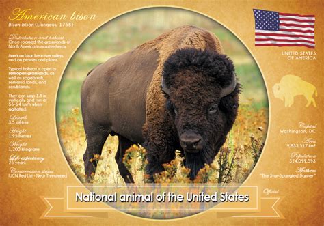 United States Wildlife Map